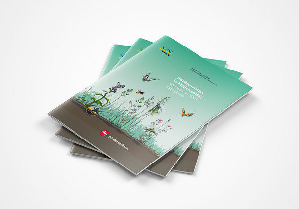 Broschüre „Insektenvielfalt in Niedersachsen“ Titel
